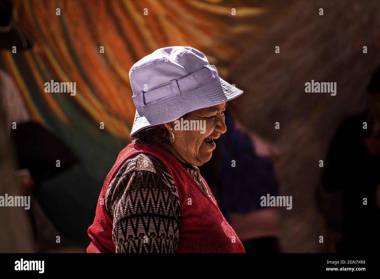 Tipica donna nativa della Puna americana Souht con costume tipico. Jujuy, Argentina Foto Stock