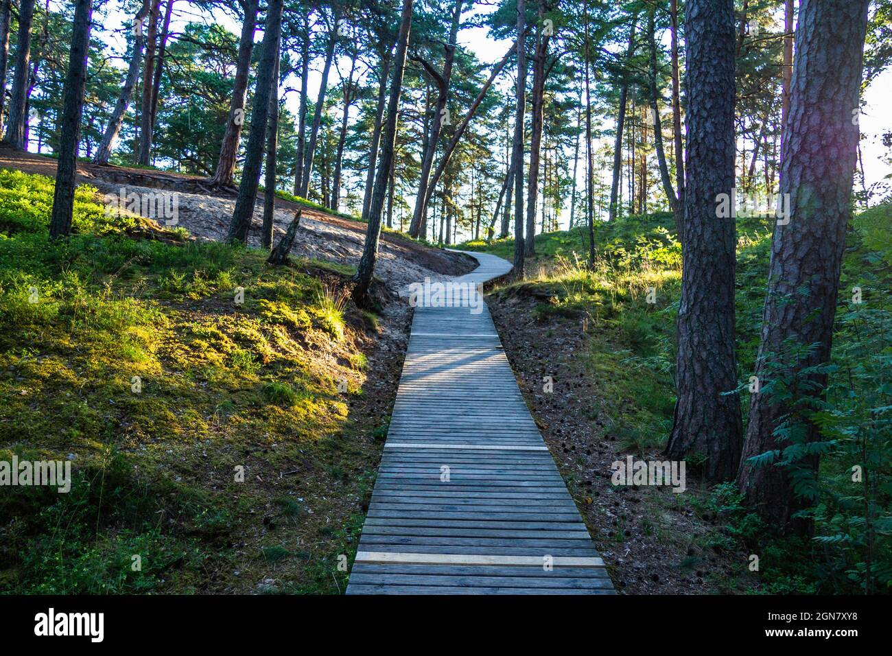 Wooden Trail attraverso le dune di sabbia della Foresta fino all'Ocean Beach Foto Stock