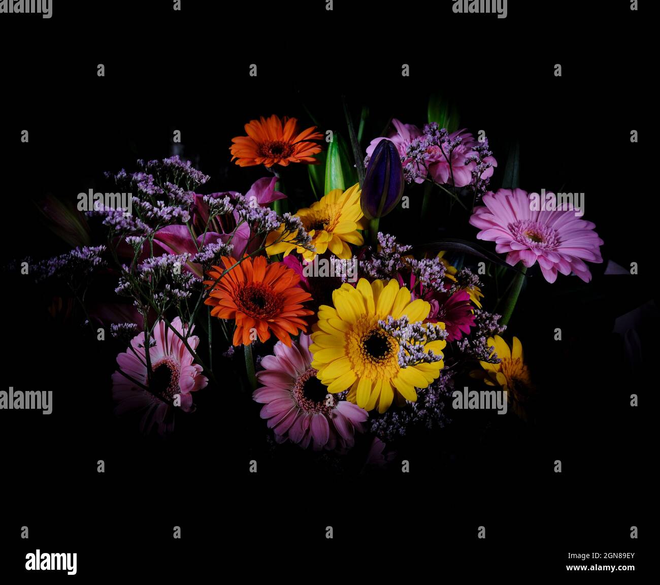 Bouquet di margherite Foto Stock