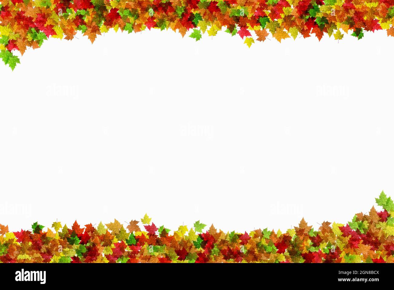 Le foglie colorate multicolore dell'autunno delimitano la parte superiore e inferiore su uno sfondo bianco con spazio pubblicitario per inserire il proprio testo Foto Stock