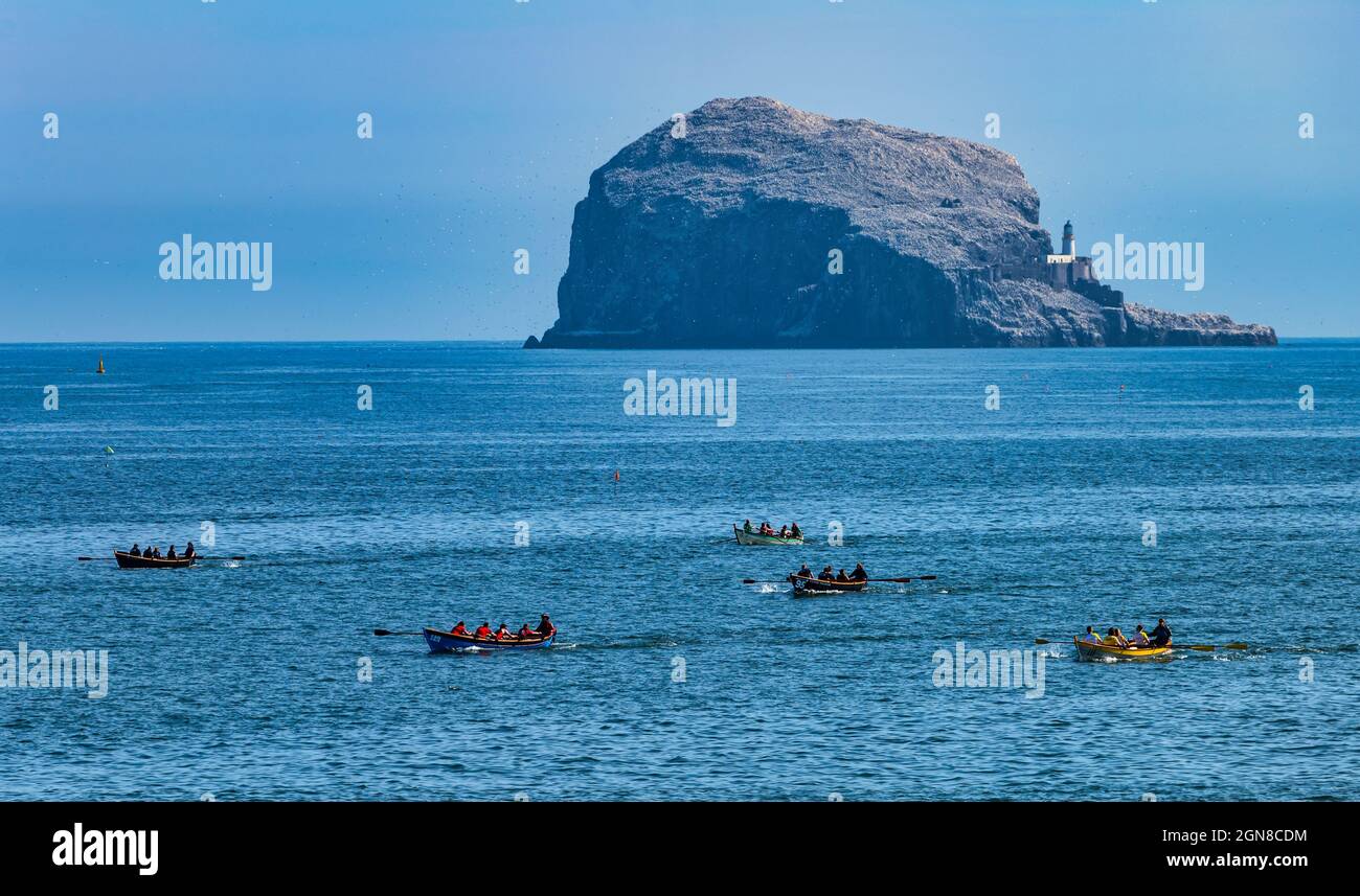 Costiero canottaggio club sciff barche in regata con Bass Rock Island, Firth of Forth, Scozia, Regno Unito Foto Stock