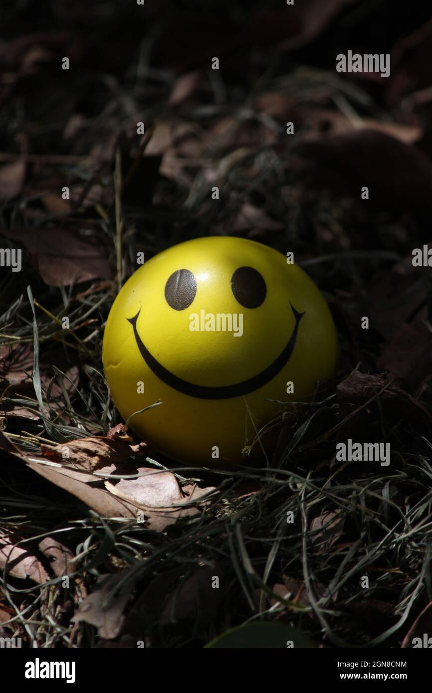 Closeup verticale di una palla gialla sorridente nella foresta Foto Stock