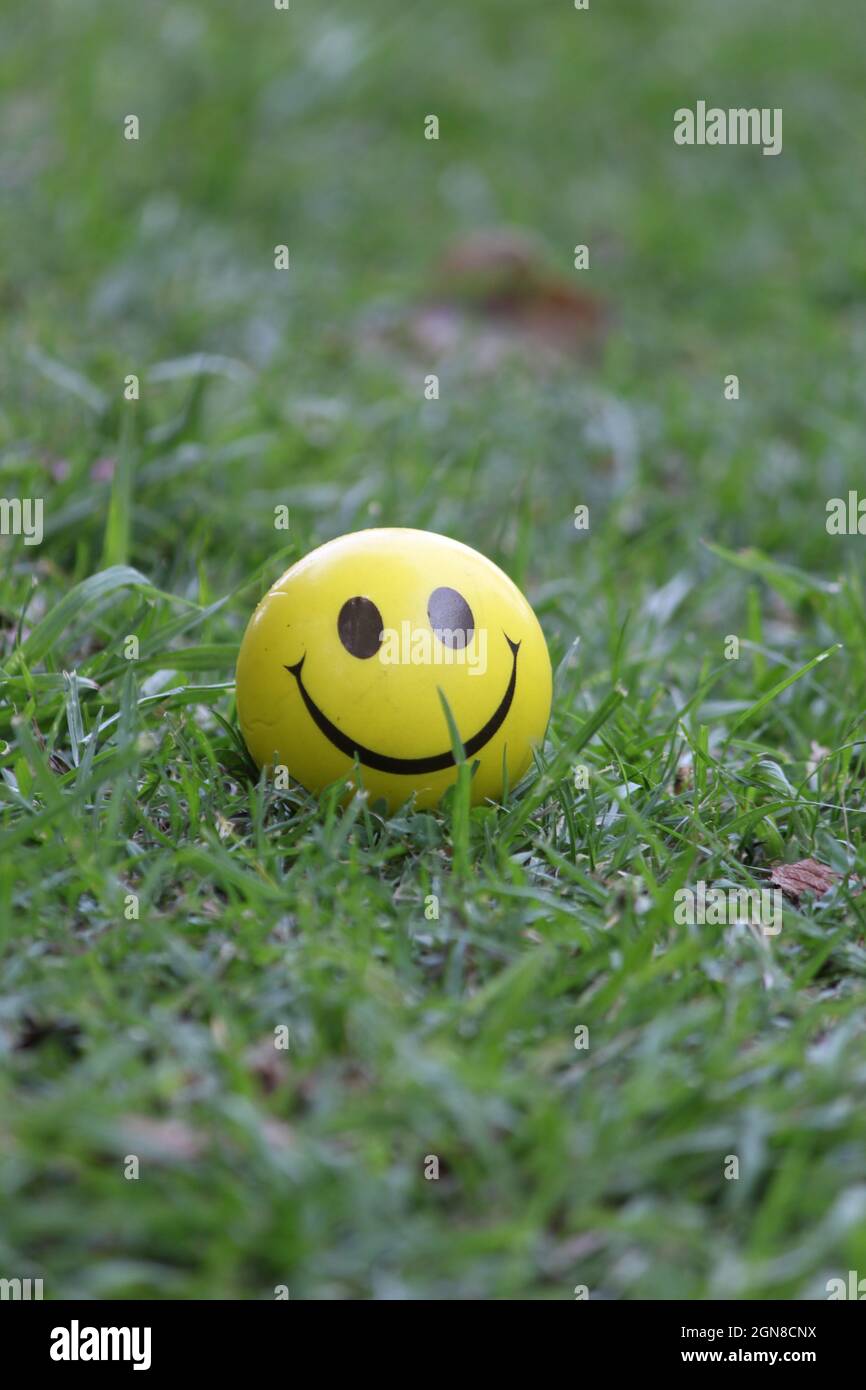 Closeup verticale di una sfera gialla faccia sorridente sull'erba Foto Stock