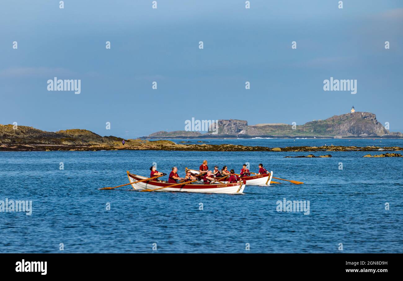 Squadre di canottaggio costiero in skiff boats di St Ayle a Regatta, North Berwick, East Lothian, Scozia, Regno Unito Foto Stock