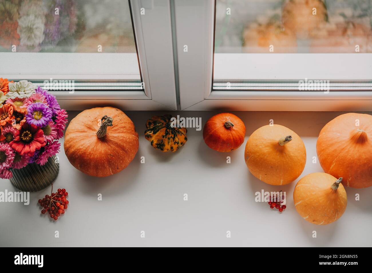 Composizione dell'umore autunnale. Cornice fatta di zucche, fiori autunnali, e guelder rosa su sfondo bianco, vacanze autunnali Foto Stock
