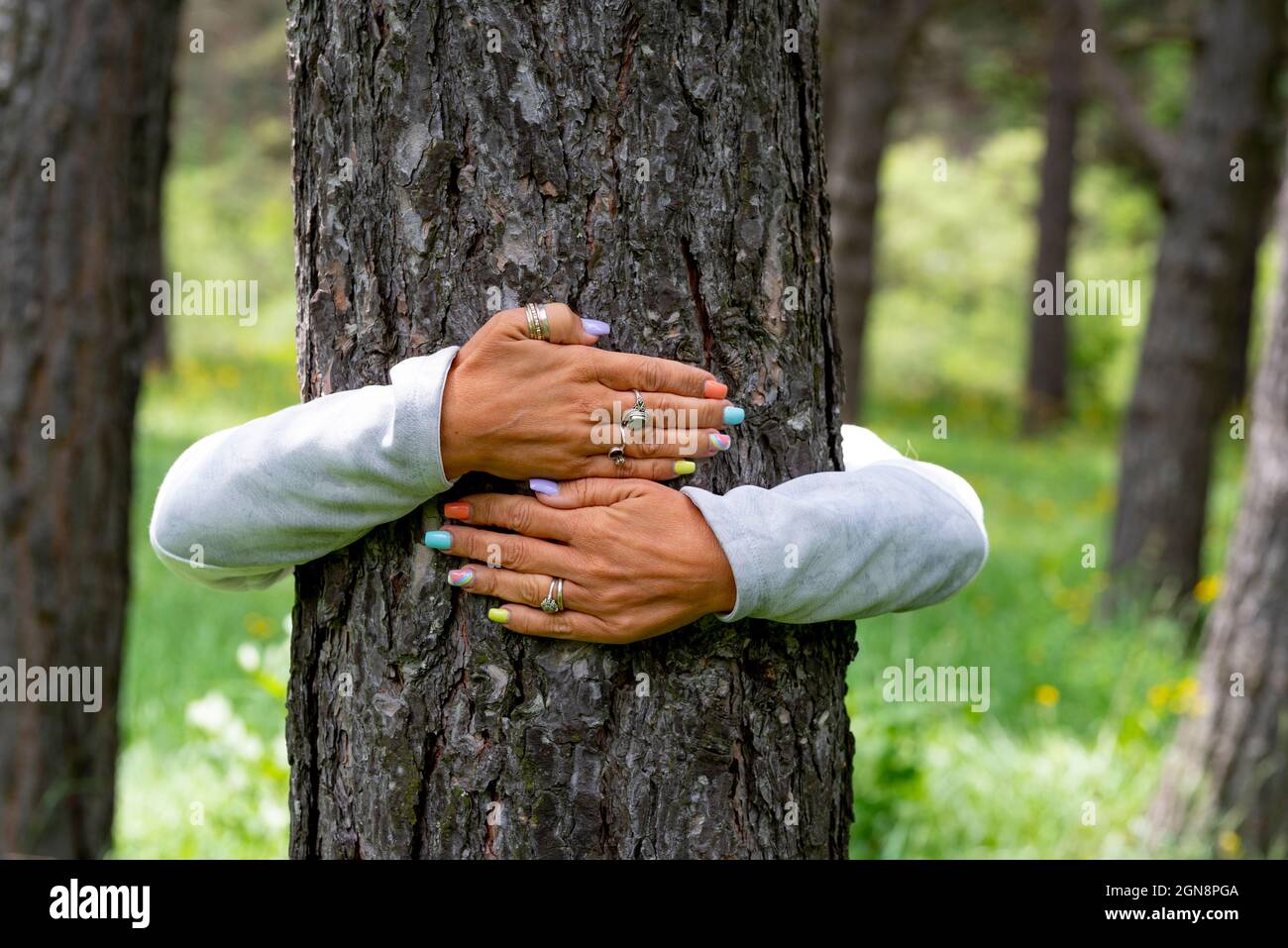 Donna che abbraccia il tronco dell'albero nella foresta Foto Stock