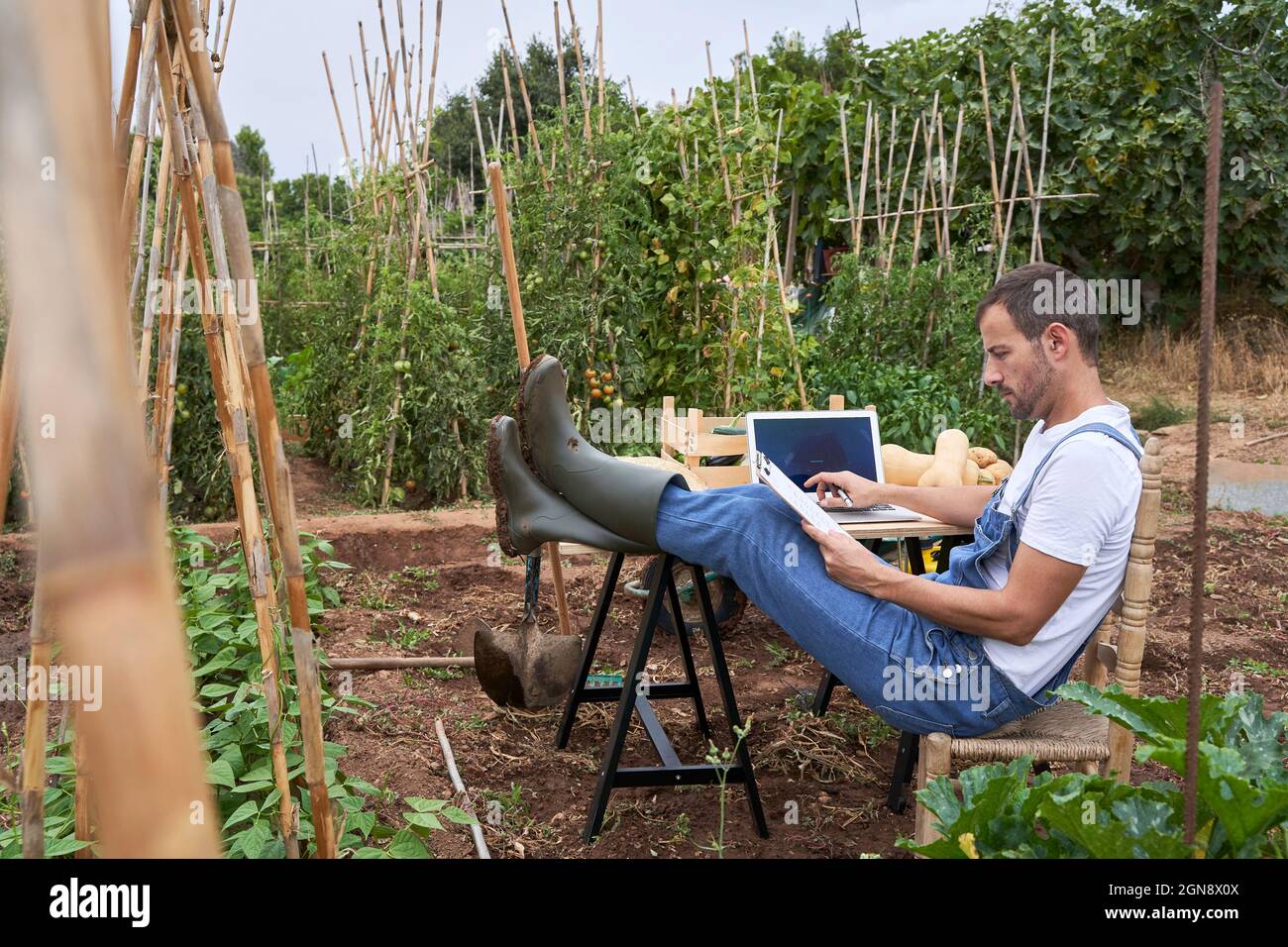 Maschio agricoltore legga appunti mentre si siede con i piedi su a tavola in campo agricolo Foto Stock
