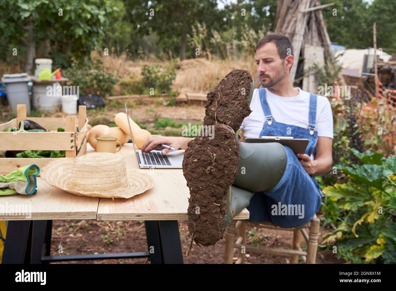 Lavoratore agricolo maschile che utilizza un computer portatile mentre si siede con i piedi al tavolo in campo agricolo Foto Stock