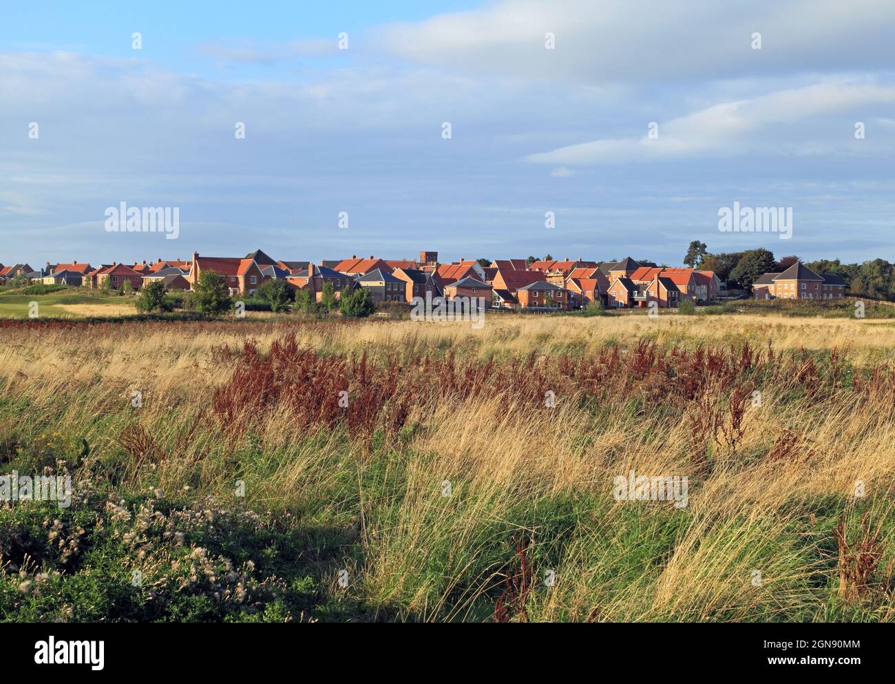 Butterfield Meadow, Heacham, Hunstanton, sviluppo di nuovi alloggi, estate, Su un terreno precedentemente agricolo, scomparendo rurale Inghilterra Foto Stock