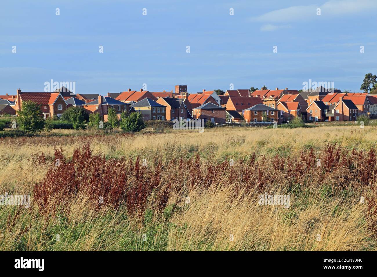 Butterfield Meadow, Heacham, Hunstanton, sviluppo di nuovi alloggi, estate, Su un terreno precedentemente agricolo, scomparendo rurale Inghilterra Foto Stock