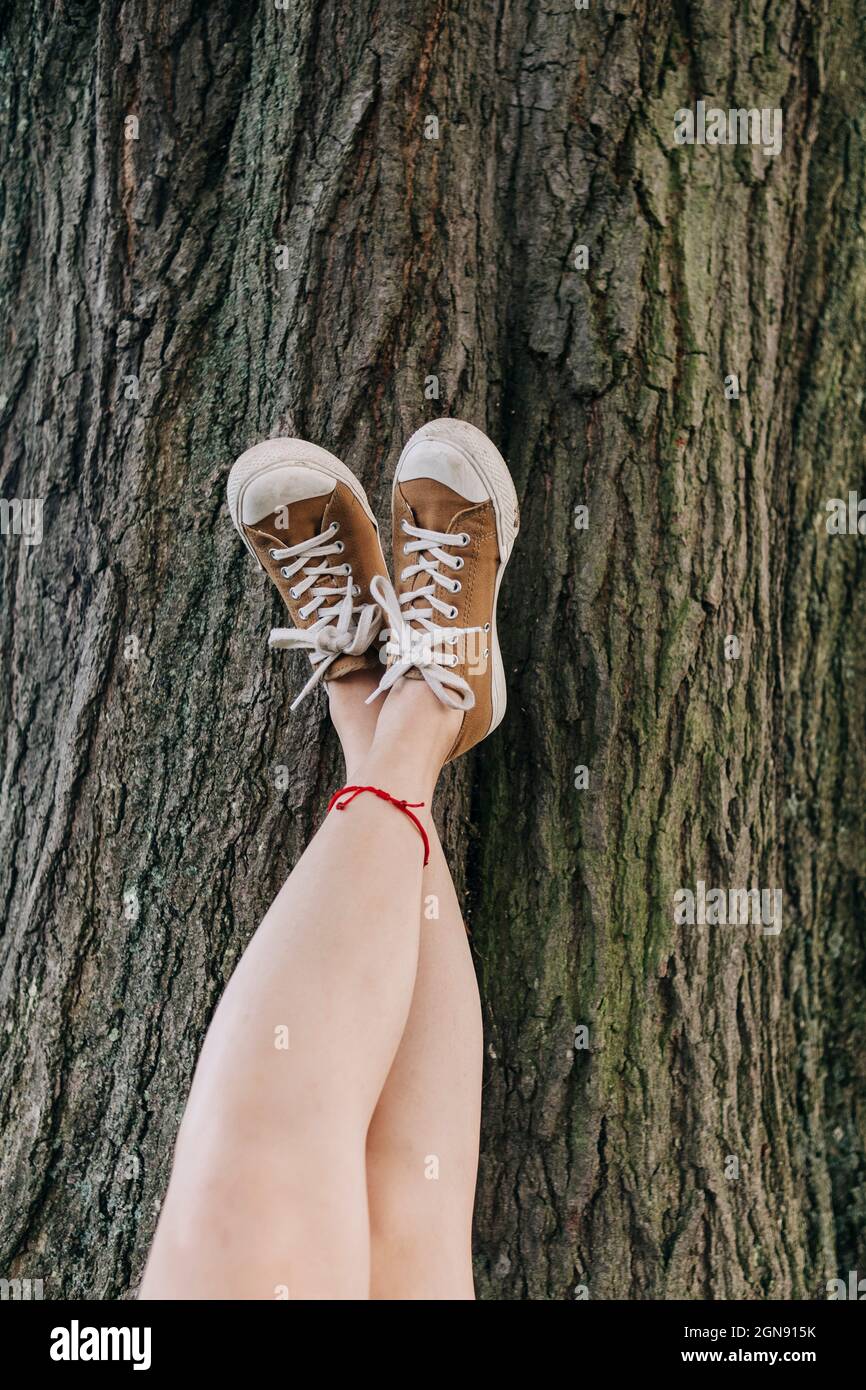 Donna con i piedi in su appoggiati sul tronco dell'albero Foto Stock