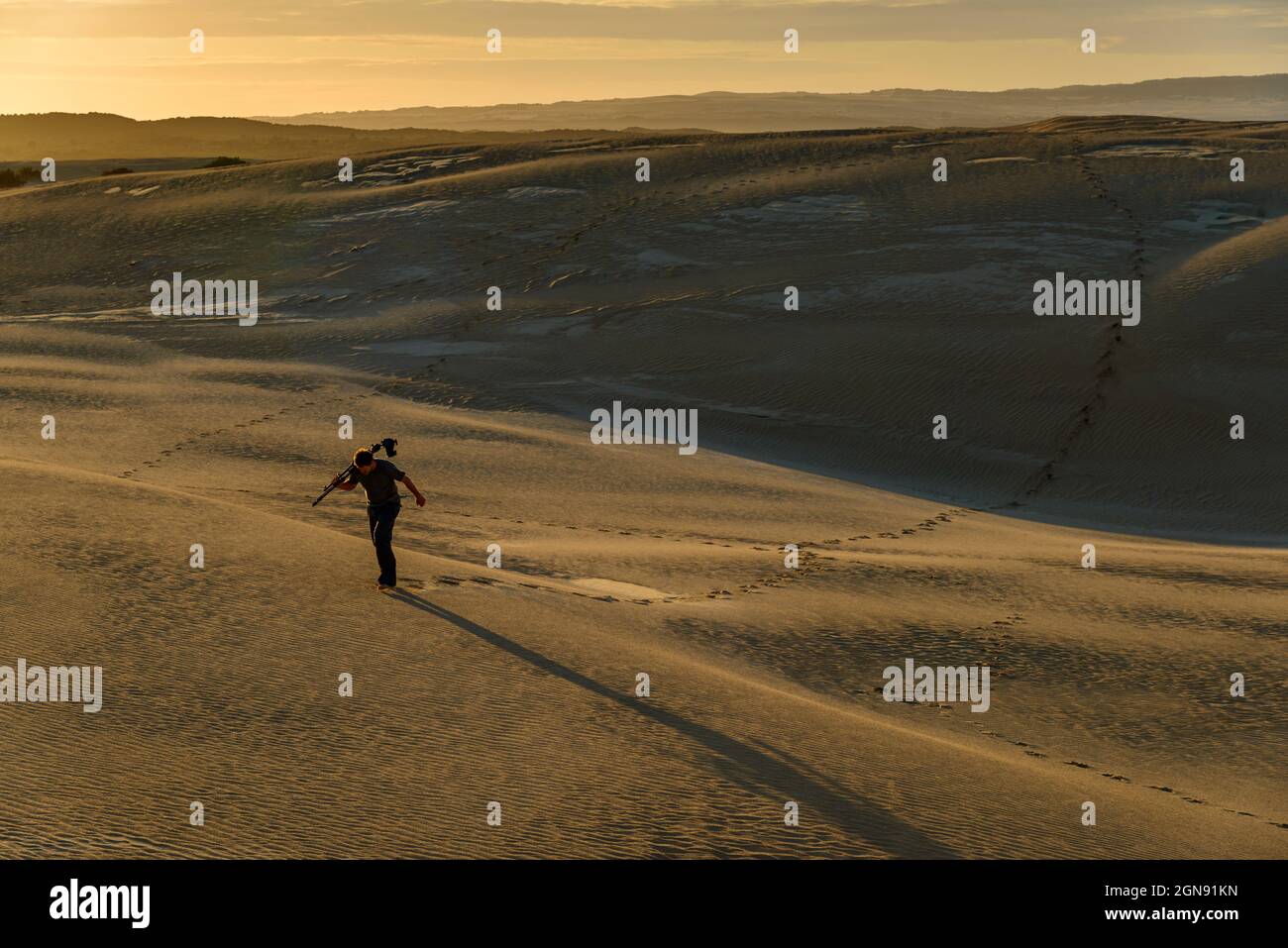 Uomo turista che trasporta il treppiede mentre cammina sulla sabbia durante il tramonto Foto Stock