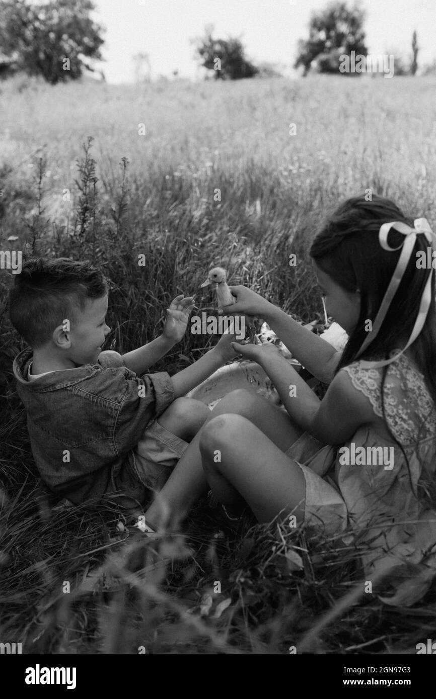 Il ragazzo e la ragazza del toddler giocano con i formicanti alla fattoria Foto Stock