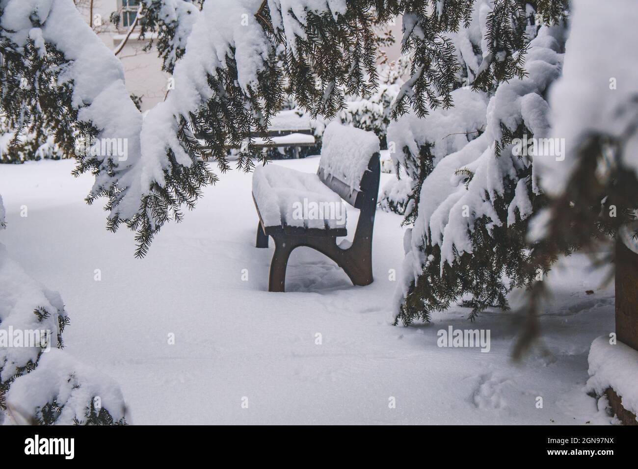 Paesaggio invernale a Braunschweig, bassa Sassonia, Germania. Panca coperta di neve dopo nevicate pesanti. Parco urbano in inverno Foto Stock