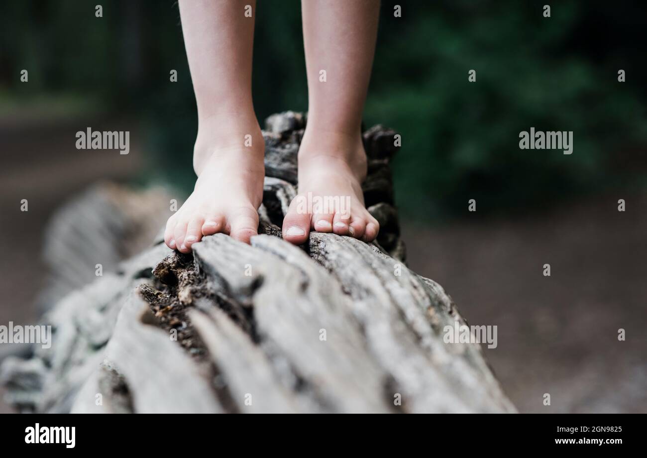 i piedi del bambino che camminano lungo un albero caduto nella foresta Foto Stock