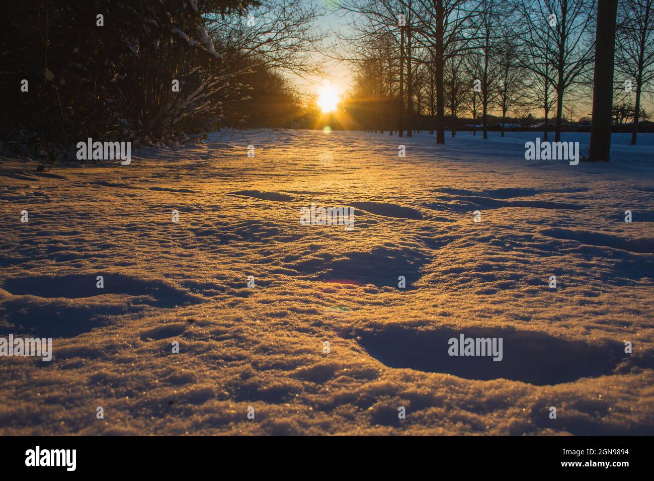 Paesaggio invernale a Braunschweig, bassa Sassonia, Germania. Parco cittadino coperto di neve durante il tramonto in una bella giornata invernale soleggiata Foto Stock