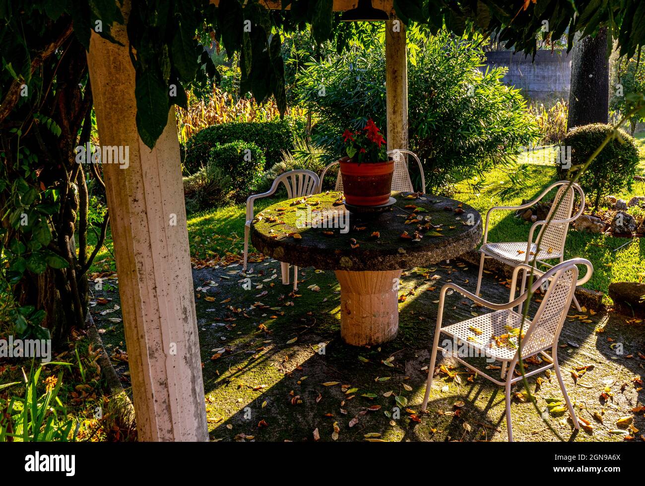 area picnic in giardino con tavolo e sedie Foto Stock