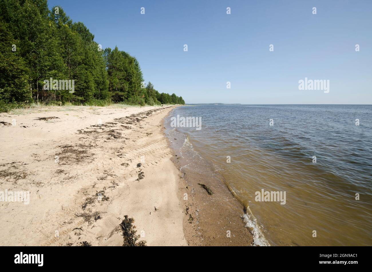 Onega costa del Mare Bianco. Spiaggia di sabbia Foto Stock
