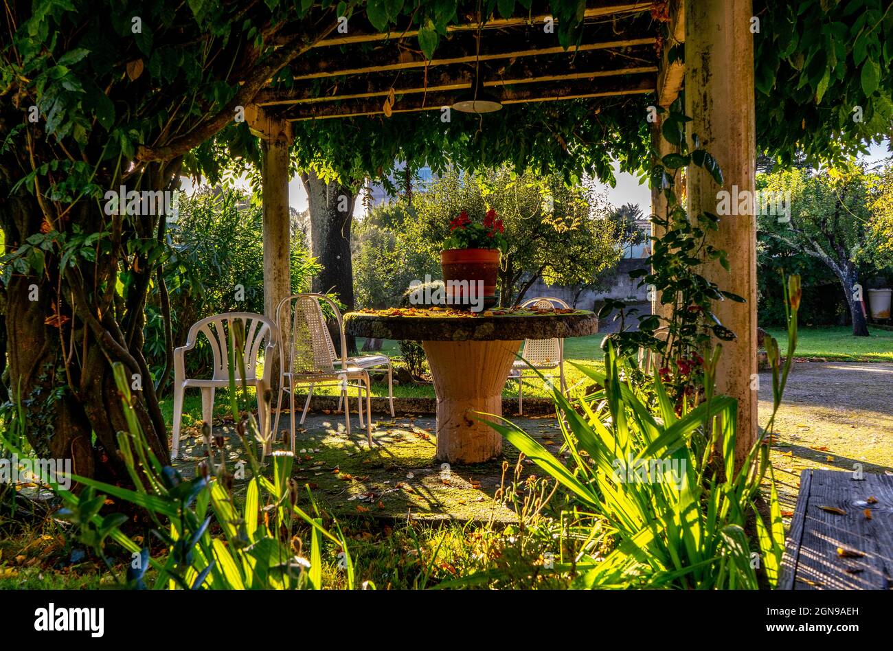 area picnic in giardino con tavolo e sedie Foto Stock