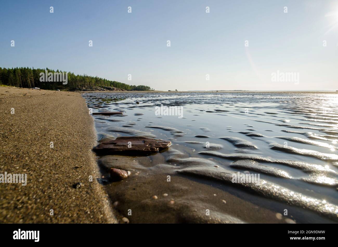 Vacanze estive sulle rive del Mar Bianco Foto Stock