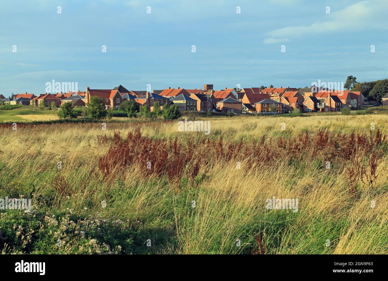 Butterfield Meadow, Heacham, Hunstanton, sviluppo di nuovi alloggi, estate, Su un terreno precedentemente agricolo, scomparendo rurale Inghilterra Foto Stock