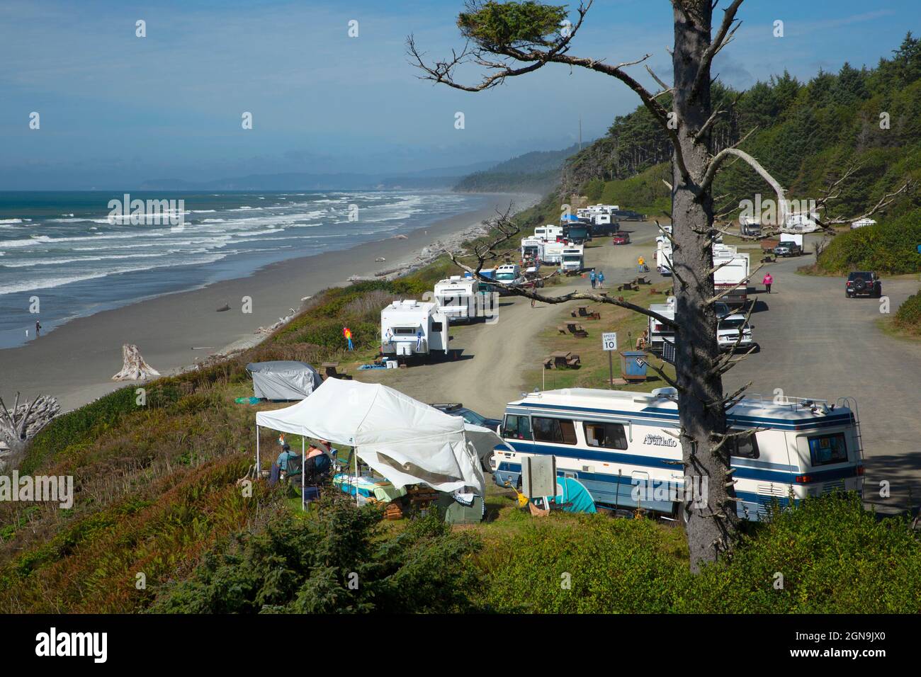 South Beach Campground, Olympic National Park, Washington Foto Stock