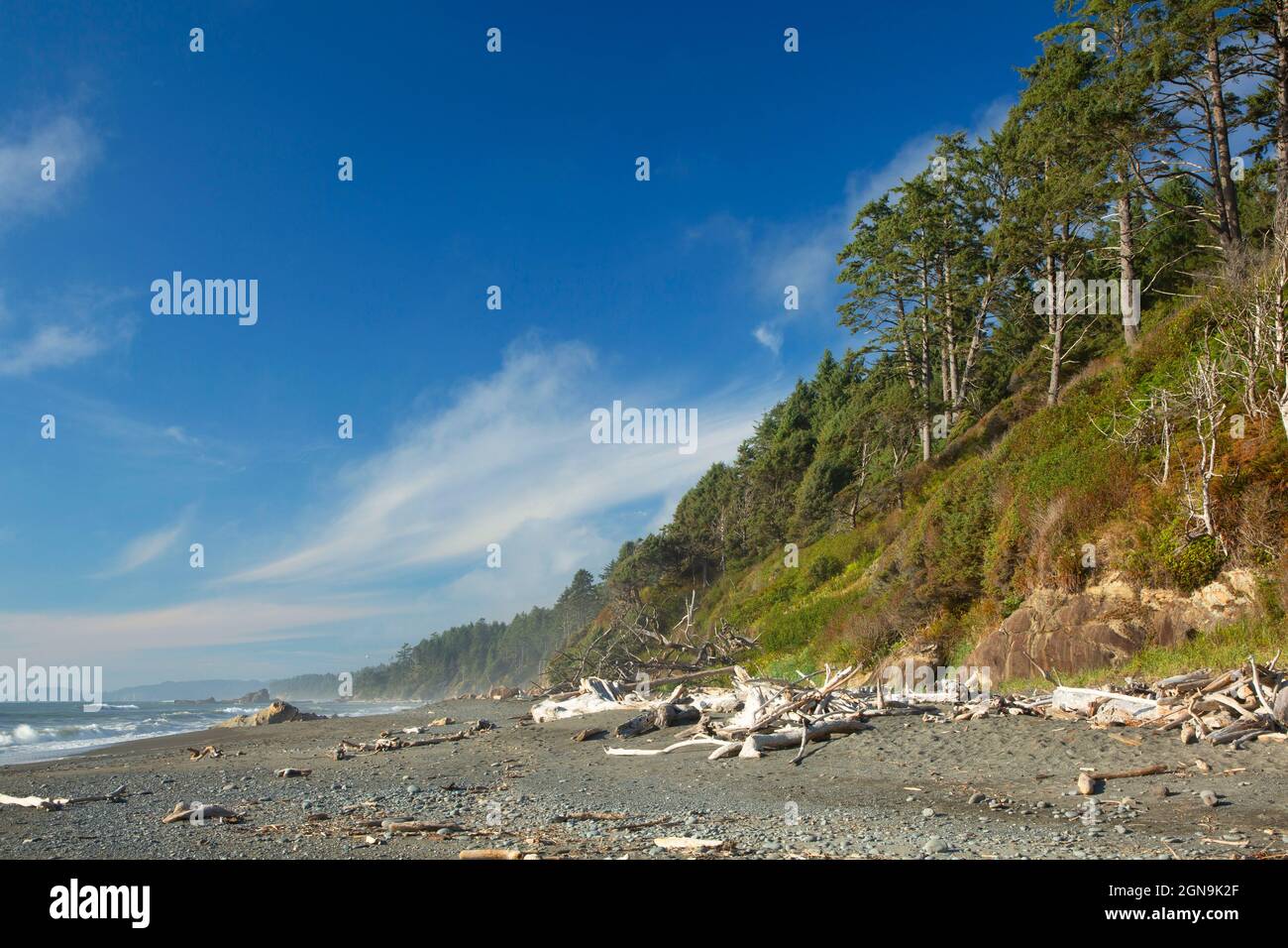 Spiaggia 3, il Parco Nazionale di Olympic, Washington Foto Stock