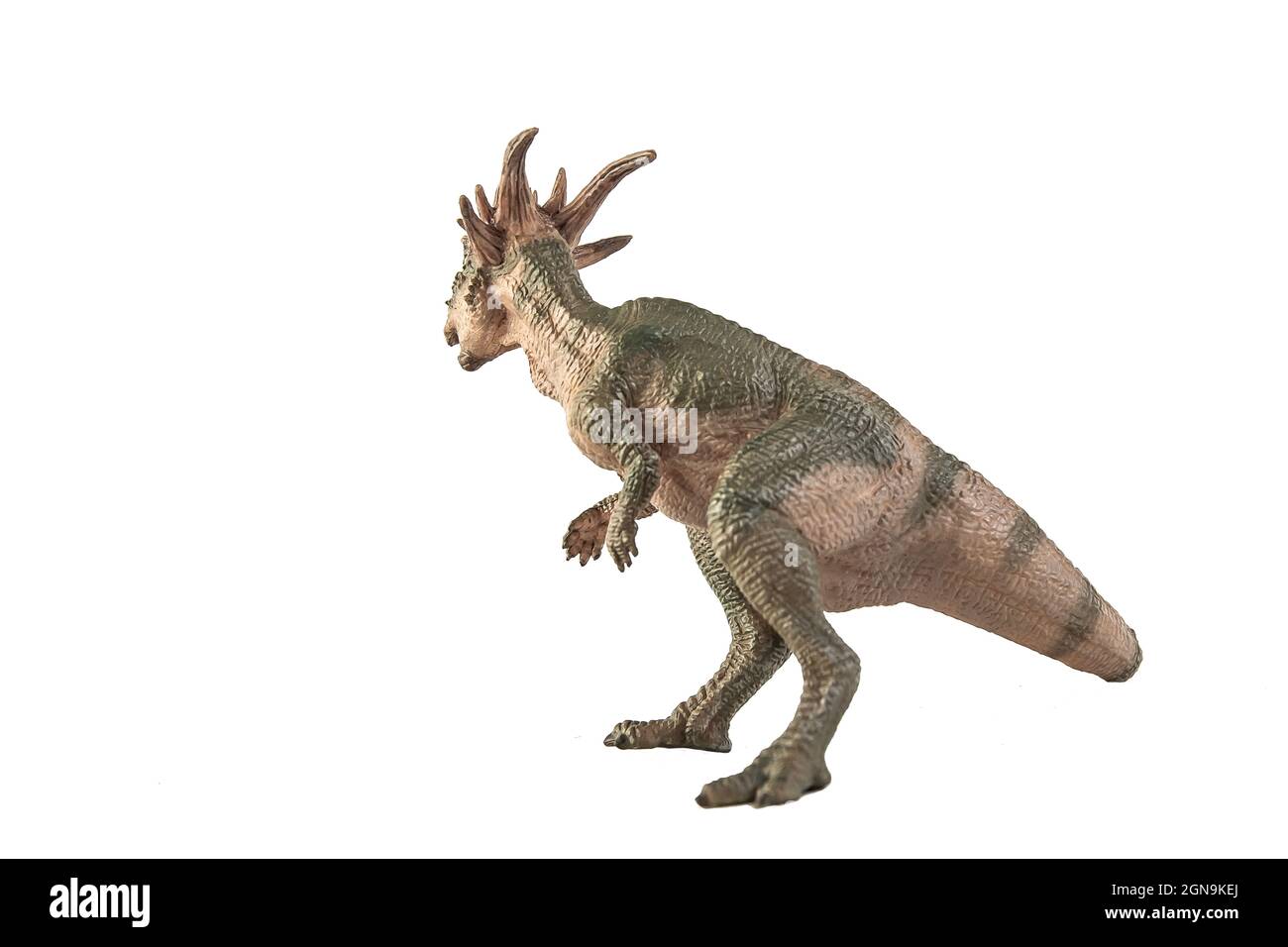 Dinosauro Stygimoloch su sfondo bianco . Foto Stock