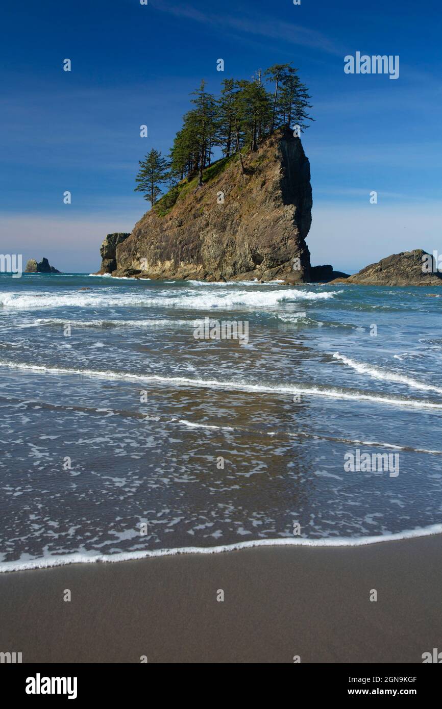 Seastack da Second Beach, Olympic National Park, Washington Foto Stock