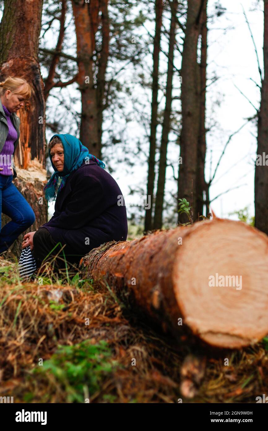 Vista laterale sfocata di due donne che camminano nella pineta e seduta su tronco di legno. Tempo libero e concetto di gente, madre e figlia nella foresta autunnale. Persone Foto Stock
