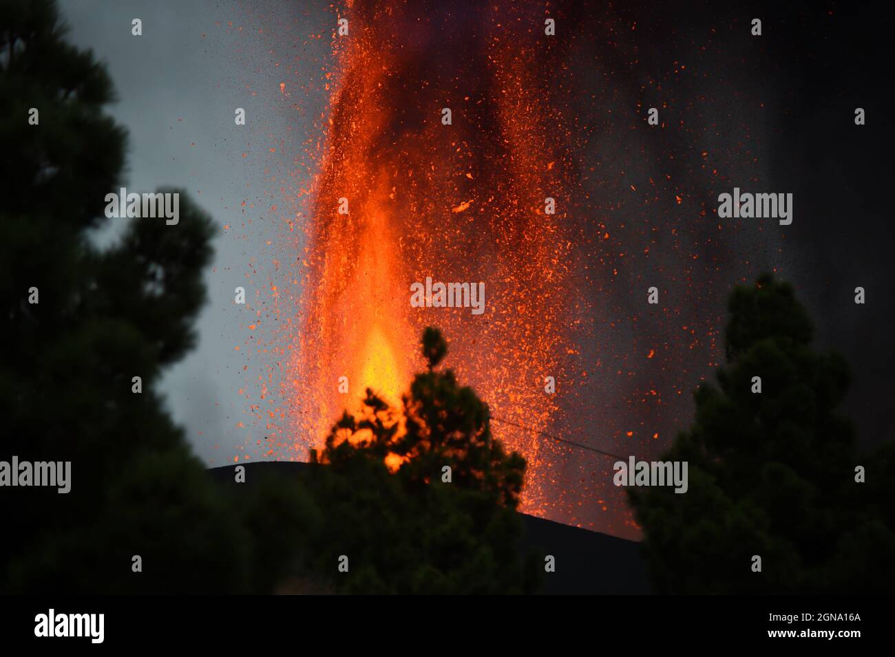 (210924) -- LA PALMA, 24 settembre 2021 (Xinhua) -- Foto scattata il 22 settembre 2021, mostra la scena dell'eruzione vulcanica del vulcano Cumbre Vieja a la Palma, Spagna. Mercoledì, l'Istituto Vulcanologico delle Isole Canarie (INVOLCAN) ha stimato che l'eruzione potrebbe durare 24-84 giorni. Il vulcano emette attualmente tra le 6,140 e le 11,500 tonnellate di anidride solforosa (SO2) al giorno. Anche se sei strade sull'isola sono state chiuse a causa dell'eruzione, l'aeroporto di la Palma rimane aperto con 48 voli in programma per giovedì. Tuttavia, la compagnia aerea Tui ha annullato tutti i suoi voli per l'isola. Foto Stock