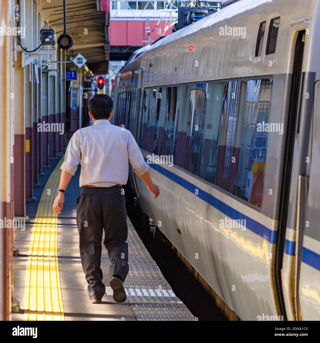 Japanese Railway, Hakutaka White Wing, West Japan Railway, Tokyo, Kanazawa, treno, Giappone centrale Foto Stock