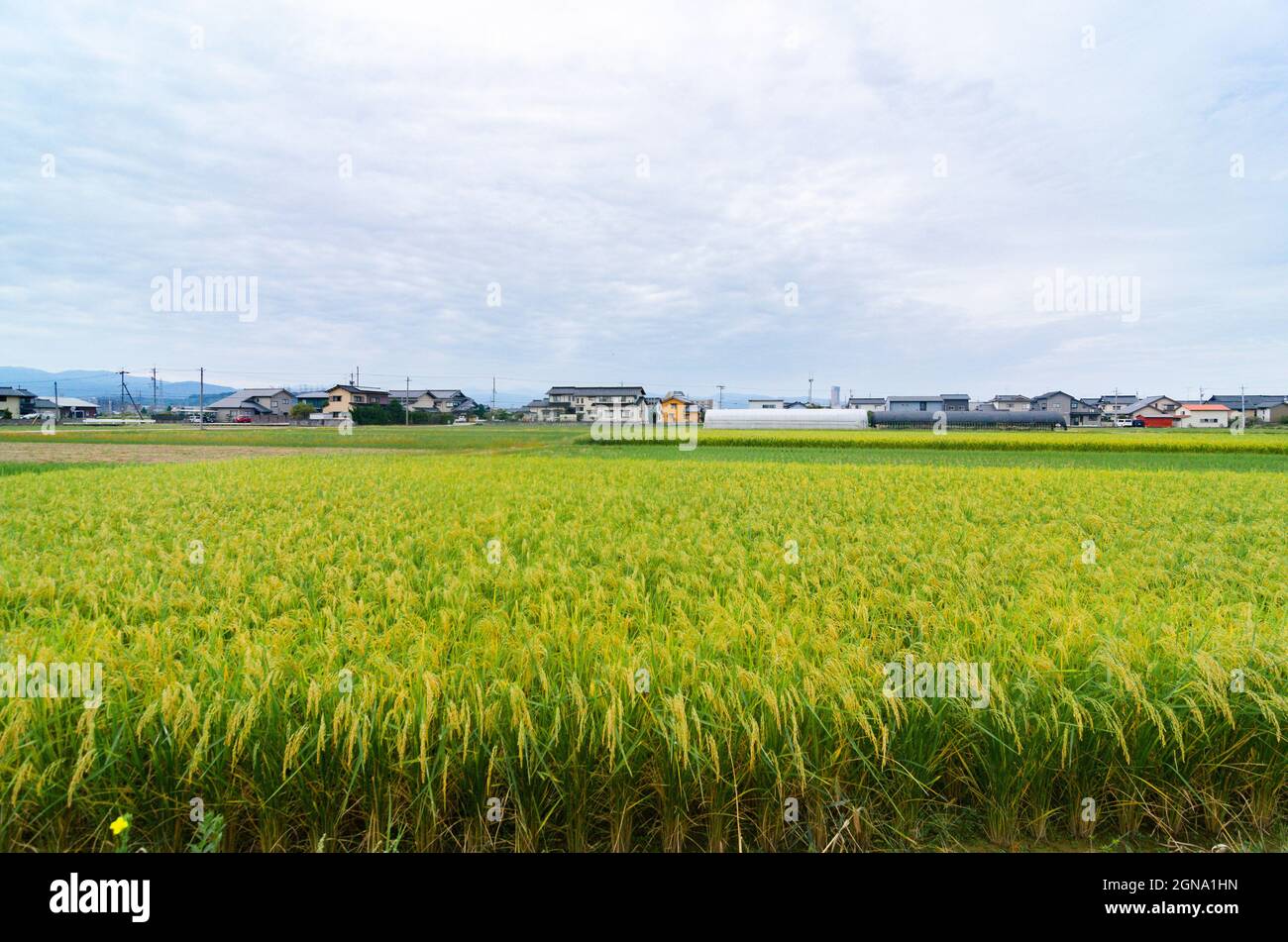Case rurali di Kanazawa, architettura tradizionale, fascino della campagna, fattorie giapponesi, paesaggi rurali Foto Stock