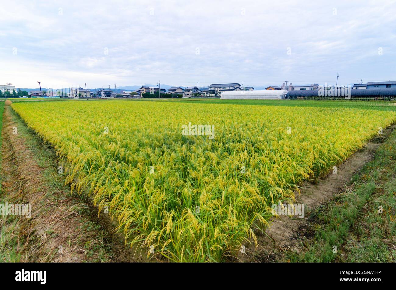Case rurali di Kanazawa, architettura tradizionale, fascino della campagna, fattorie giapponesi, paesaggi rurali Foto Stock