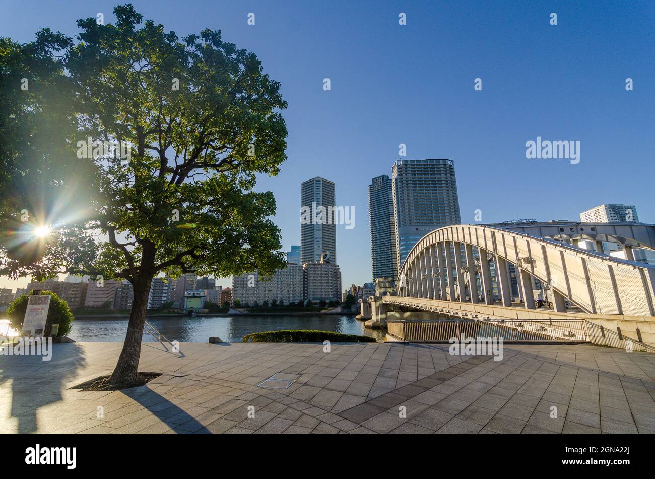 Scene di strada di Tokyo, architettura urbana, paesaggio urbano, edifici moderni, skyline di Tokyo, fotografia di strada, vivace vita cittadina Foto Stock