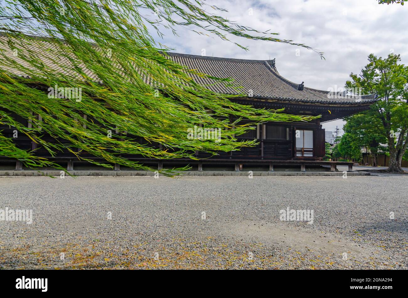 Tempio Honen-in, Kyoto, tradizionale, shintoista, architettura, giapponese, Temple Grounds, Zen, Buddismo Foto Stock