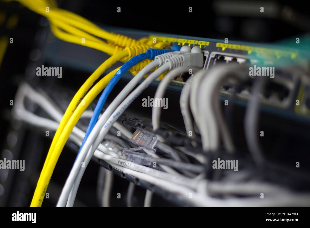 Primo piano macro di cavi ethernet connessione internet cavi velocità Foto Stock