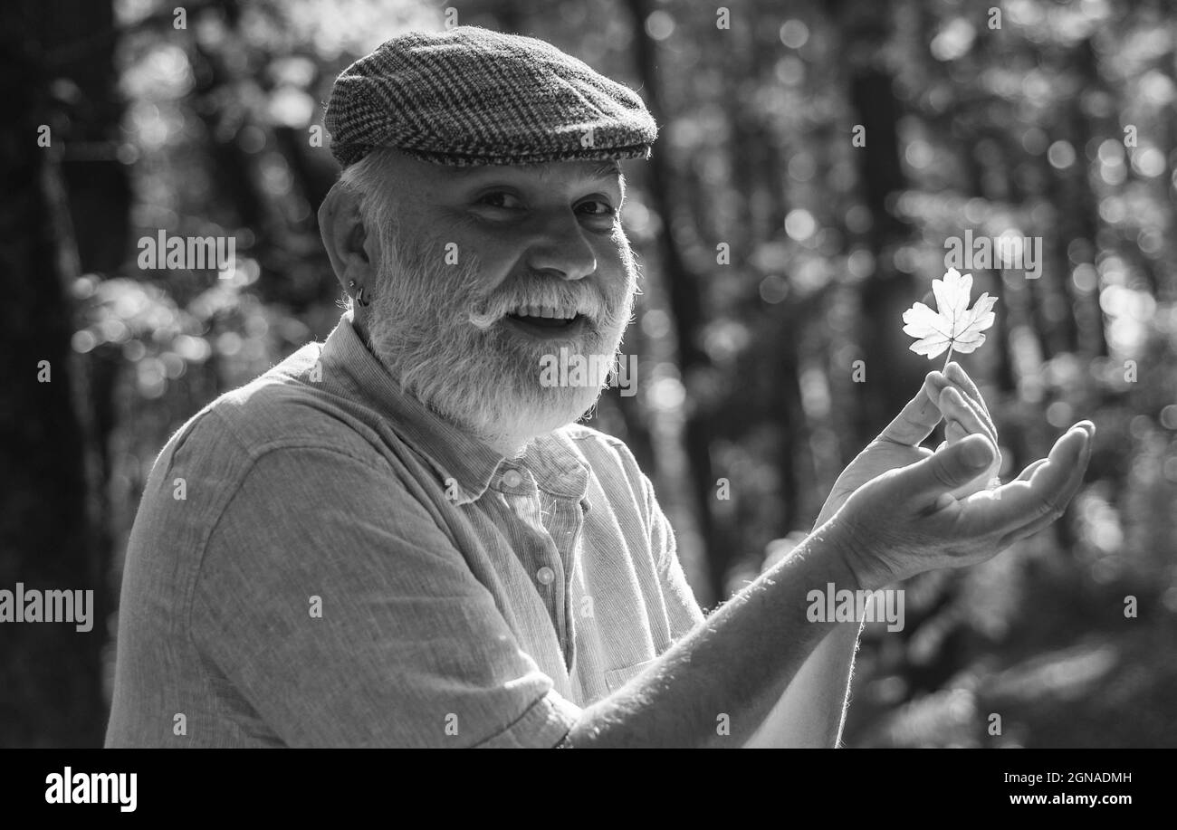 Curiosità alla botanica. Esplora il mondo circostante. Pensionati escursioni nella foresta in sole giorno d'autunno. L'uomo gode della natura autunnale. Vedi la bellezza in cose semplici. Vecchio Foto Stock