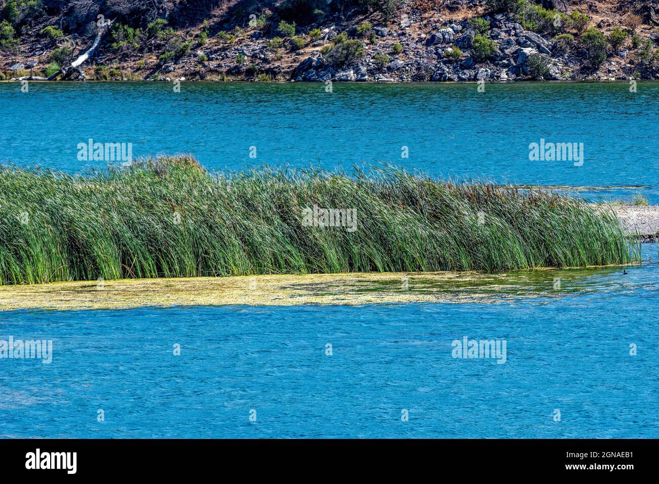 Calero Reservoir nella contea di Santa Clara California USA Foto Stock