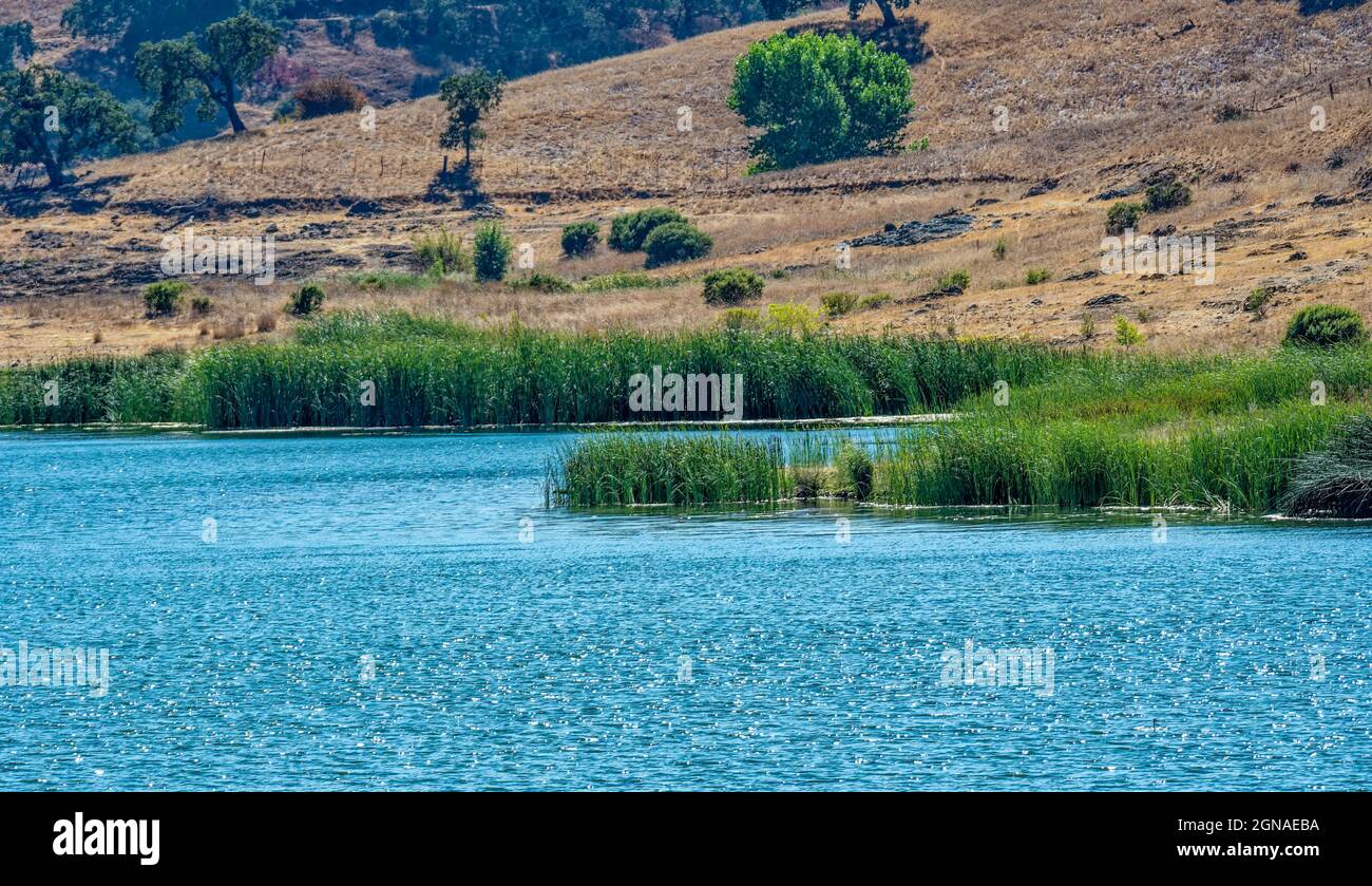 Calero Reservoir nella contea di Santa Clara California USA Foto Stock