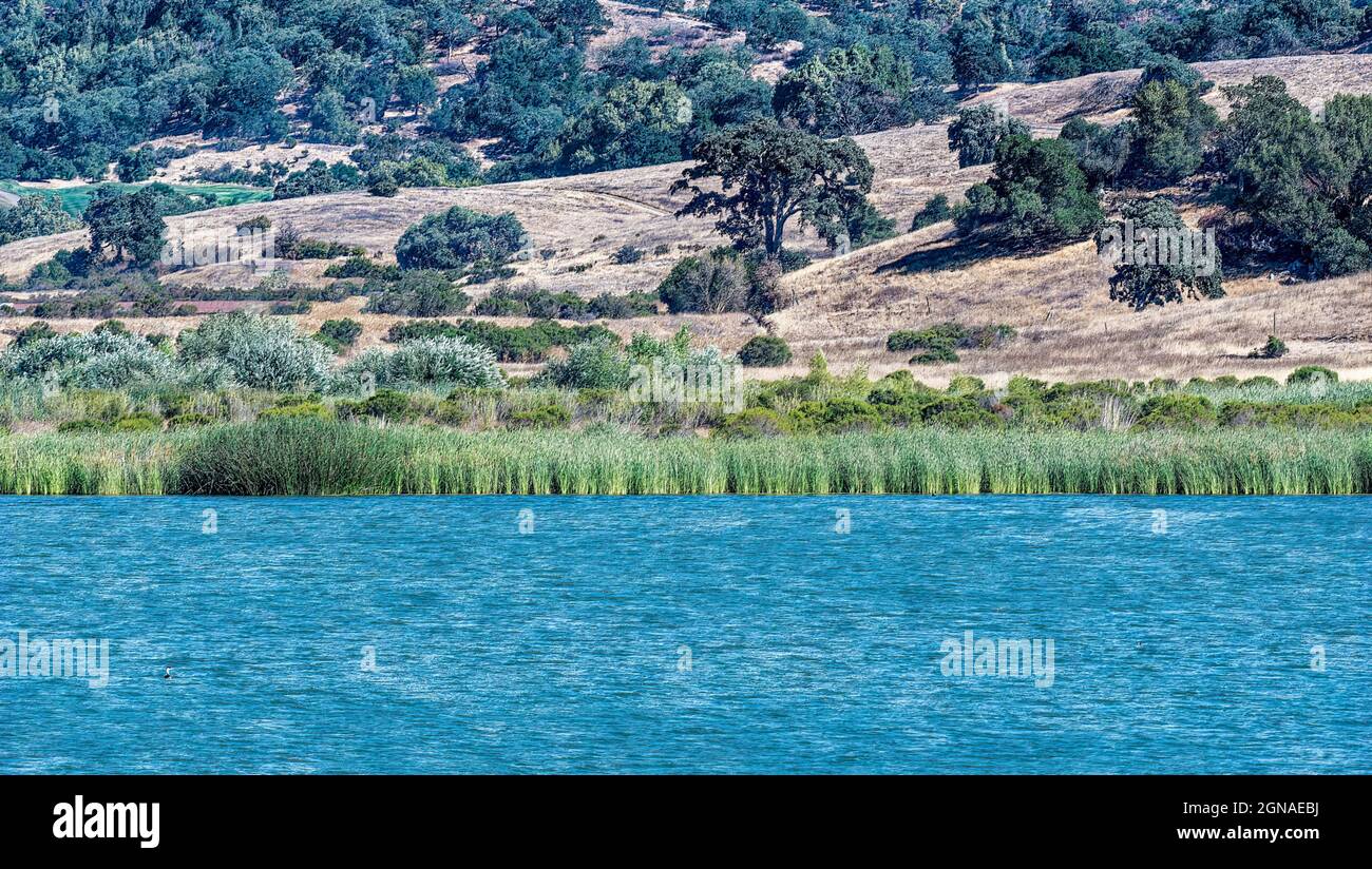 Calero Reservoir nella contea di Santa Clara California USA Foto Stock