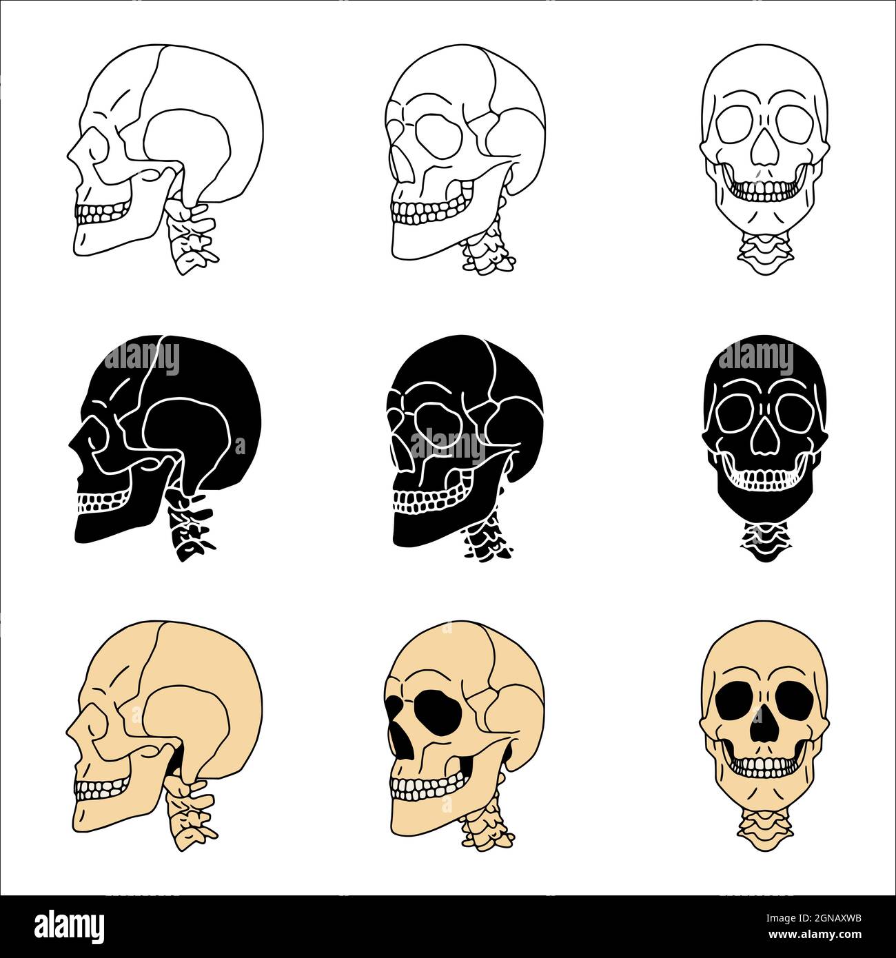 Set di teschi in stili diversi. Illustrazione Vettoriale