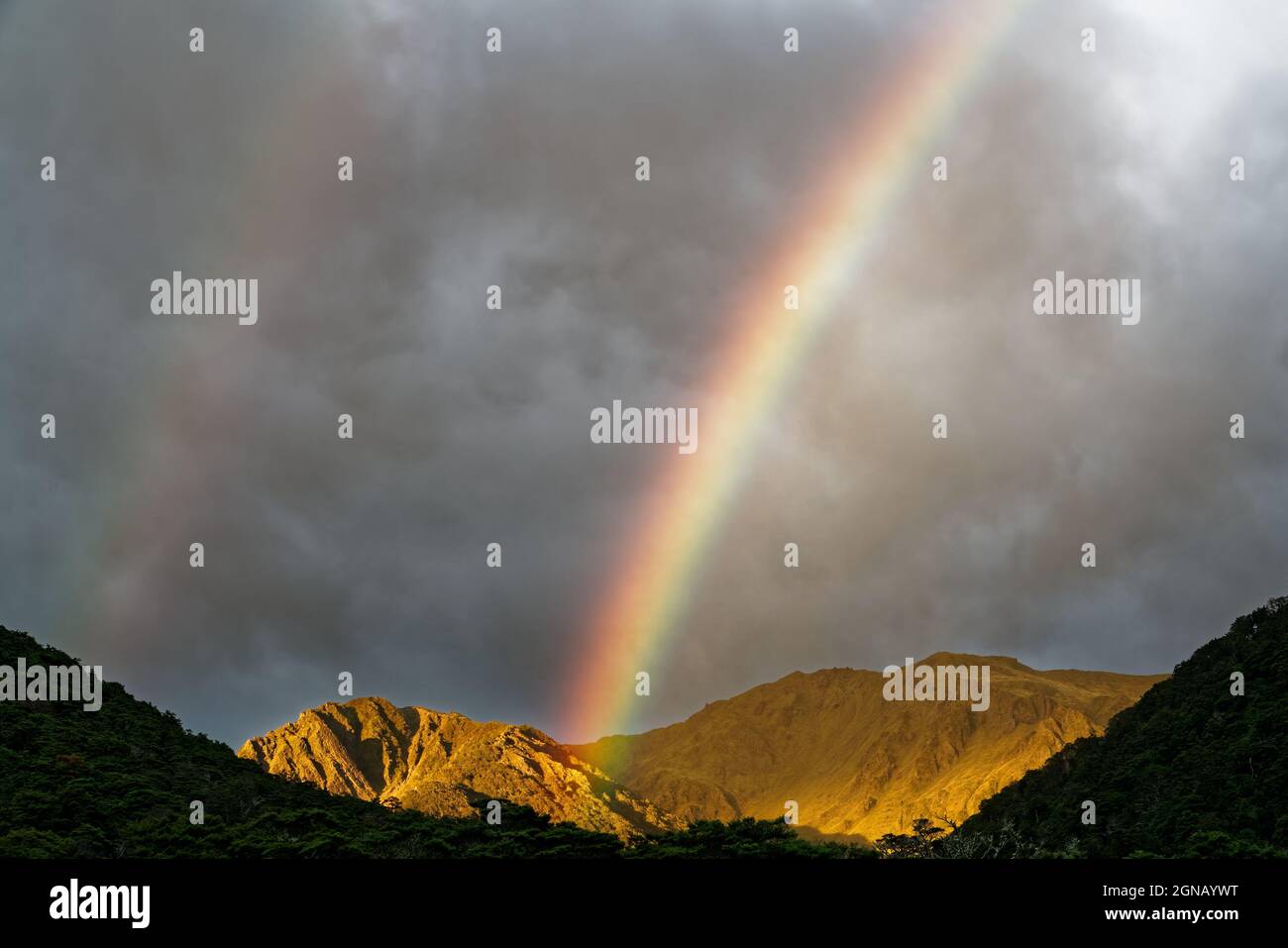 Doppio arcobaleno sopra Boyle Flat Hut all'alba, St James Walkway, Lewis Pass, isola sud, Nuova Zelanda. Foto Stock