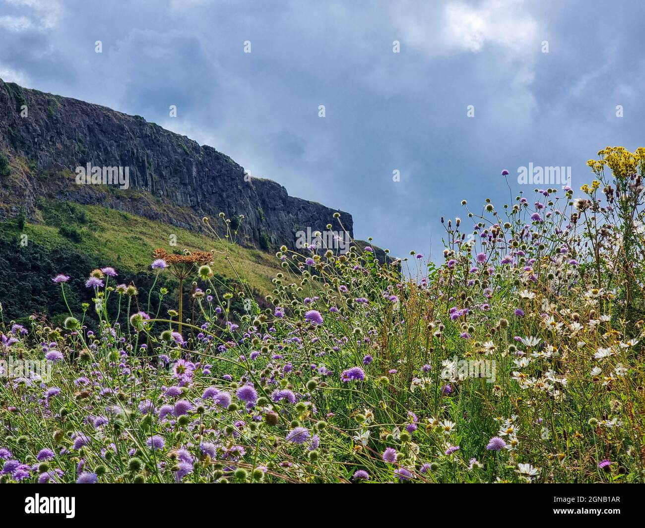 Di fronte alle ripide scogliere di Arthurs Seat, Edimburgo, Scozia Foto Stock