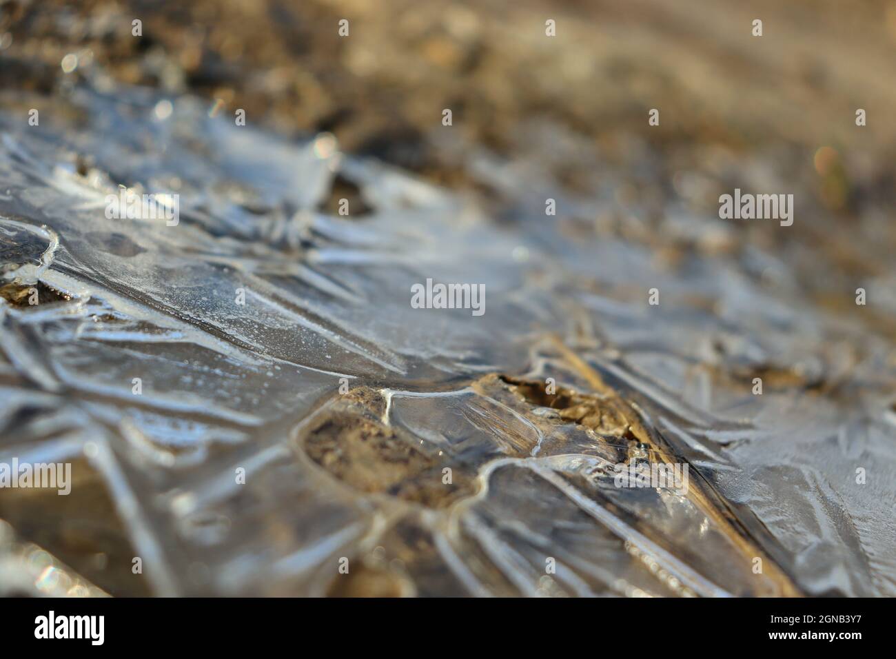 Congelato nessun uomo terra dettaglio ceco posto Foto Stock