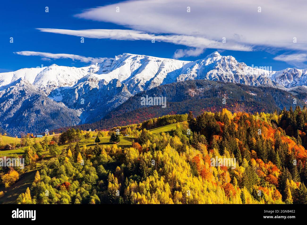 Brasov, Romania. Autunno nel villaggio di Moeciu. Il paesaggio rurale dei Carpazi. Foto Stock