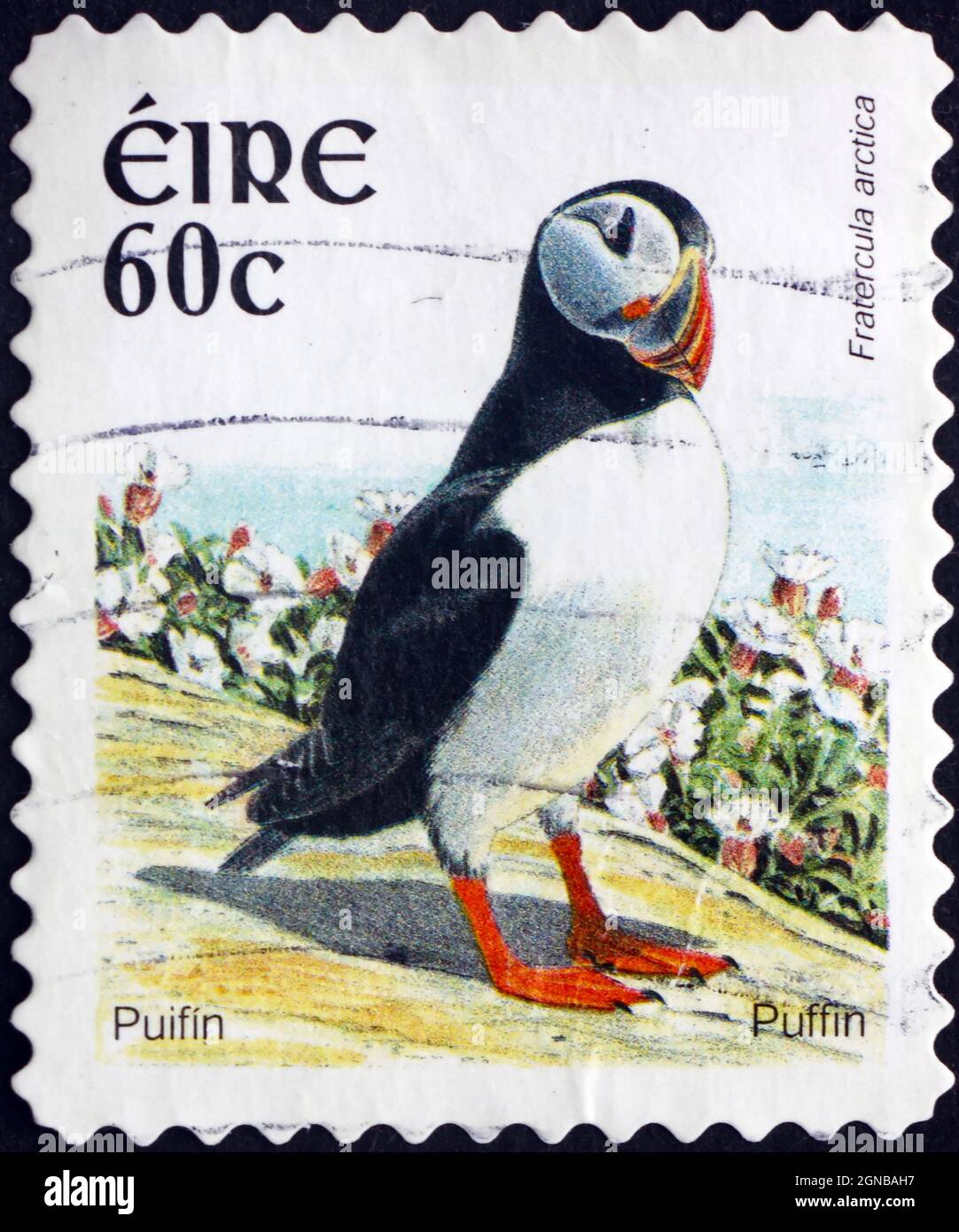 IRLANDA - CIRCA 2004: Un francobollo stampato in Irlanda mostra Puffin, Fratercola Arctica, Seabird, circa 2004 Foto Stock