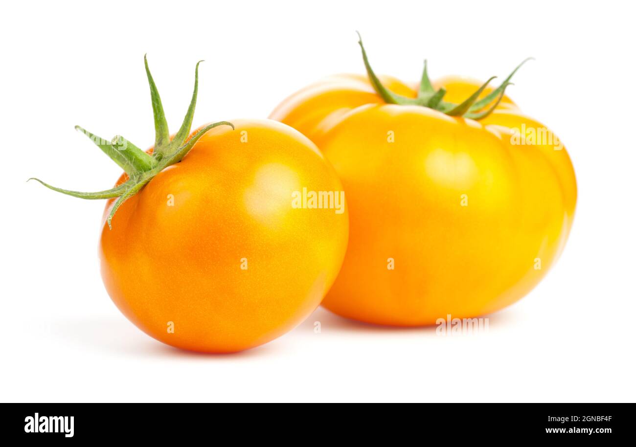 Pomodori gialli isolati su sfondo bianco Foto Stock
