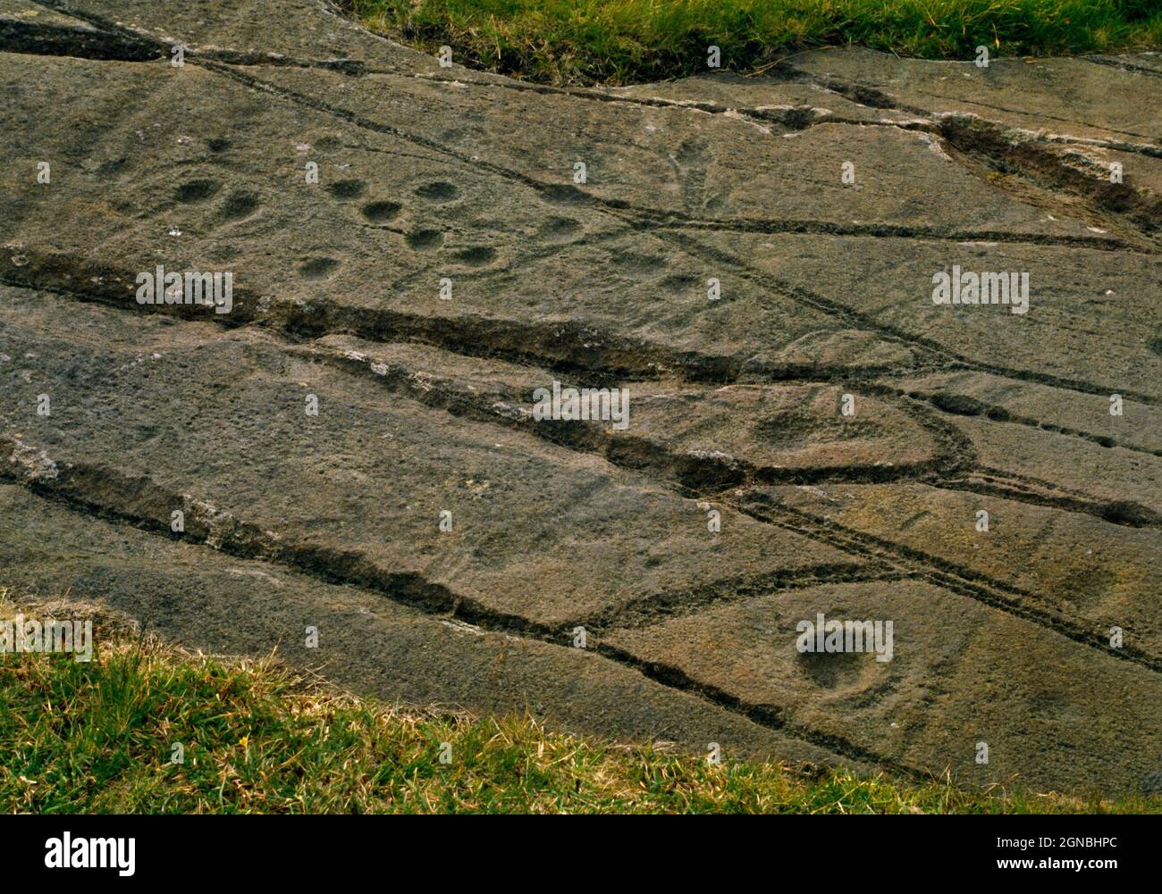 Vista dettagliata N della parte e di Cairnbaan (1) arte rupestre preistorica, Argyll, Scozia, Regno Unito, con scanalature a beccatura, contrassegni a scodellino e anello, tacche semplici Foto Stock