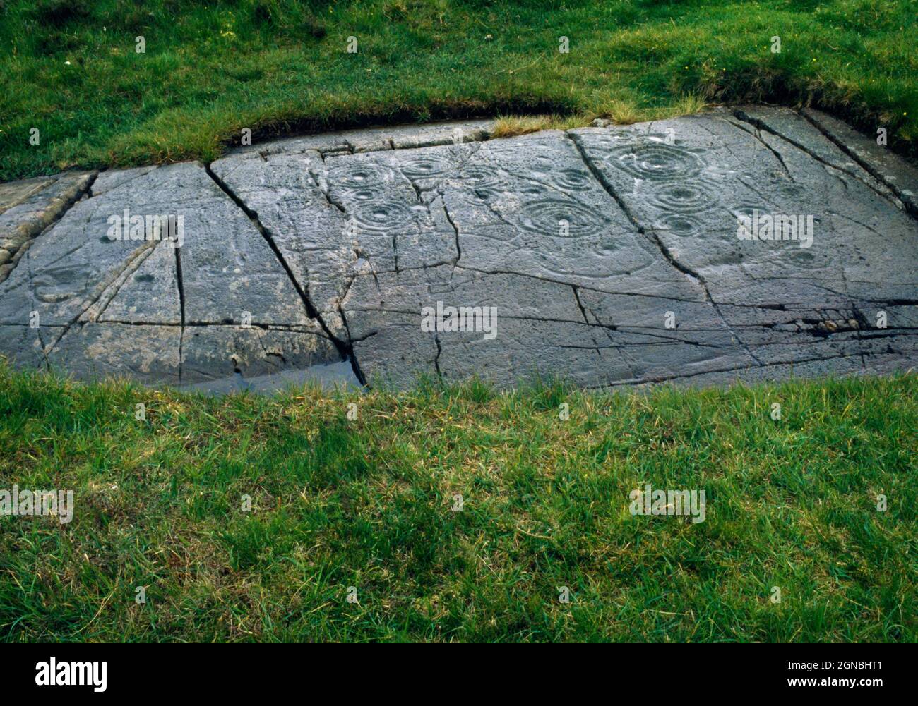 Vedi S of Cairnbaan (2) arte rupestre preistorica, Argyll, Scozia, Regno Unito, che mostra tazze e tazze semplici con anelli concentrici multipli (alcuni attutendo). Foto Stock